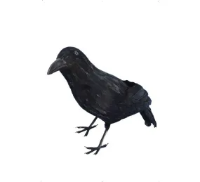 Corvo nero con piume 33cm